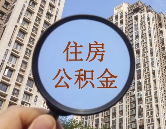 宜城退休后查不到公积金明细了吗（退休后公积金查询不到原因）